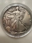 Beautiful Toned - 1987 American Silver Eagle 1 Troy Oz .999 Fine Silver
