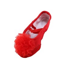  1 paio di scarpe da ballo con design floreale, scarpe da ballo antiscivolo,