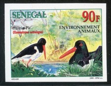 TIMBRE AFRIQUE SENEGAL / NEUF NON DENTELE N° 1513 ** FAUNE / HUITRIER PIE