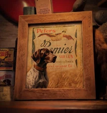 Vintage Peters Shotgun Shell Box Art Print 8X10 Shorthair Hunting Dog Wall Decor