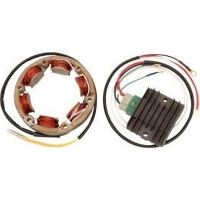 Ricks Motorsport Electric 99-101 Hochleistungs-Lade-Kit Für Motorräder