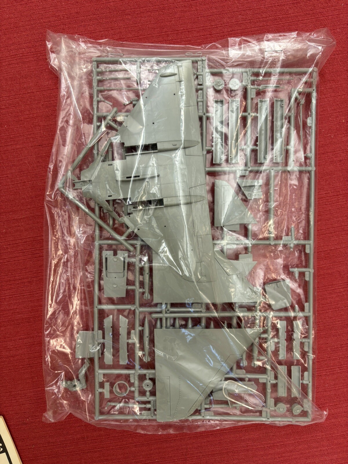 Picture 10 of 11