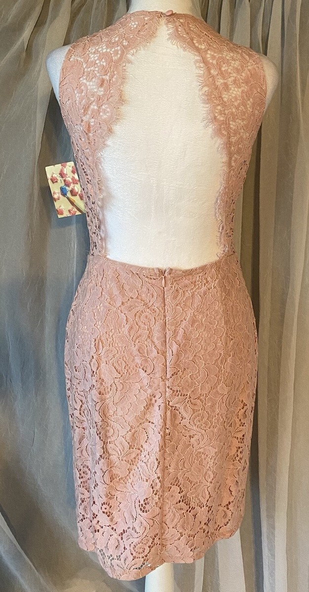 Mystic Dress Pink Lace Size Medium Zip Up Dress New With Tags!!! | eBay