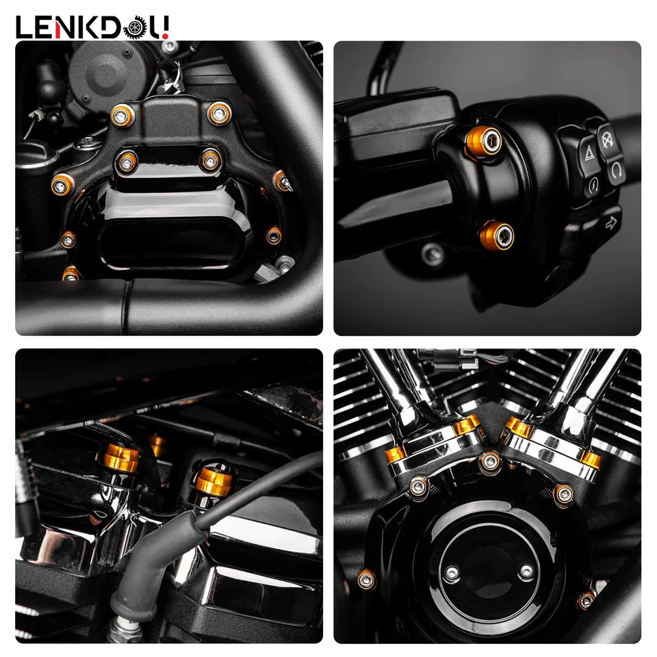 Stainlesss Screws Bolts Kit w/ Gold Cover For Harley Touring Electric Glide 07+ Foto 3 de 4