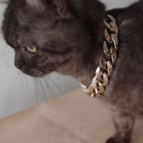 Cat Dog Gold Necklace Chain Dog Collar Pitbull Collar for Small Medium Dog - Picture 5 of 15