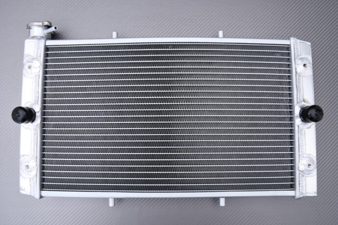Radiateur de course en aluminium pour Yamaha Viking 700 contre la surchauffe
