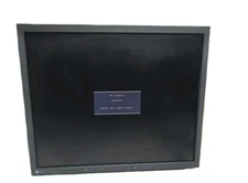Eizo RadiForce MX191 LCD Monitor - 0FTD1569