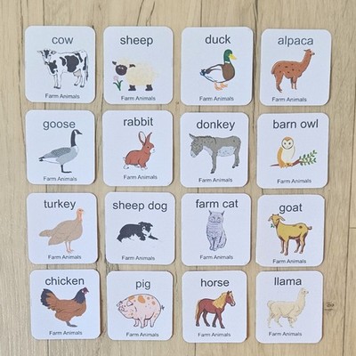16 laminierte Bauernhof Tier Flash Karten Kinder Kleinkind erste Wörter Wortschatz EYFS