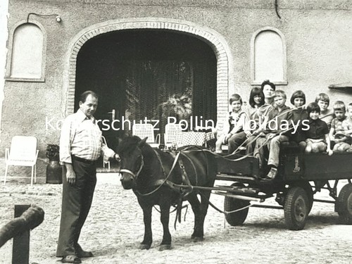 Postkarte – Ferienhof Pakusch – Dorum – Ponyreiten – Kutschfahrten – ungelaufen - Picture 3 of 9