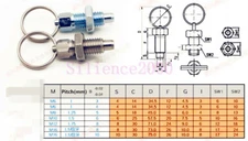 M6-M8-M10M12 Index Plunger With Ring Pull Spring Loaded Retractable Locking Pin