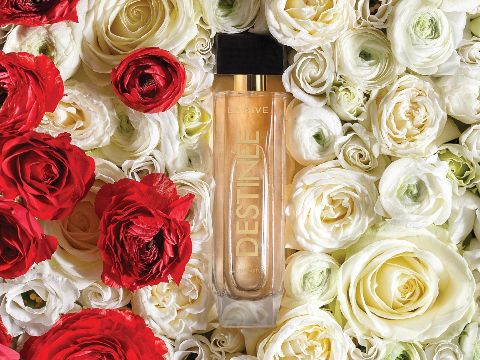La Rive DESTINEE EDP Floral Amber Scent 90ml Sealed