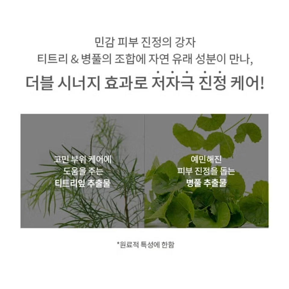 Máscara de hoja de árbol de té puro 10 ct/A'PIEU 23 g/problemas calmantes/Centella Foto 3 de 4