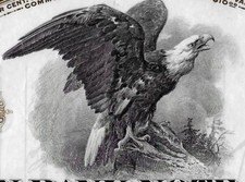 مستلزمات الحيوانات 1940 AMERICAN