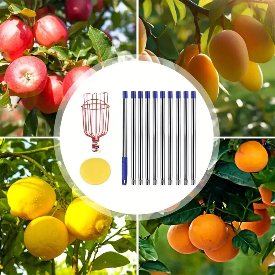 2.4/3.2/4M Telescoping Fruit Picker Long Handle Pole Fruit Picking Tool Picker s - image 3 of 4