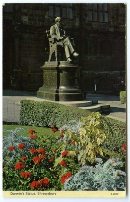 1970er Dennis Postkarte Bronze Statue von Charles Darwin Shrewsbury unbesendet