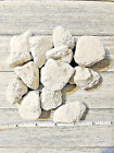 New ListingPumice Pet Chews Bird Parrot 200 Piece Toy Bites 1"- 2" Stones