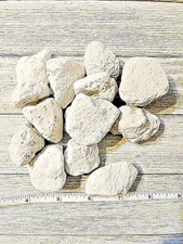 Pumice Pet Chews Toy Bites 1"- 2" Stones Bird Parrot 200 Piece 