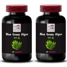 Daily Spirulina Capsules - BLUE GREEN ALGAE - Algae Wellness Tablets 2 Bottle 
