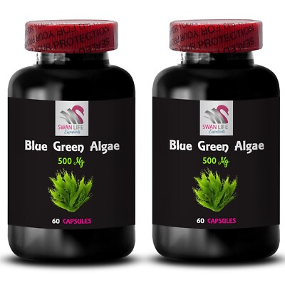 Spirulina Algae Pills - BLUE GREEN ALGAE - Algae Energy Tablets 2 Bottle 120 Cap