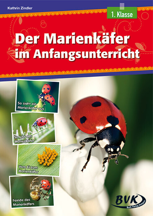 Thumbnail - Der Marienkäfer Anfangsunterricht | Kathrin Zindler | 2019 | Deutsch