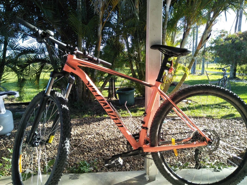 specialized gumtree