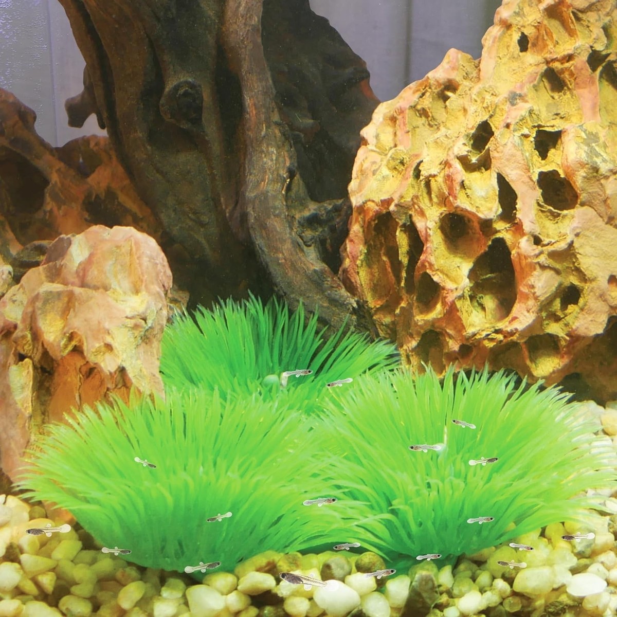 Aquascaping for Fry Protection: Ultimate Tips to Safeguard Your Fry