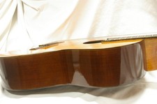 TAKEHARU GUITAR GT-150