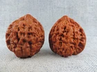 100 Years Old Cultural Walnut Antique Pair of Chinese Nature Walnut D