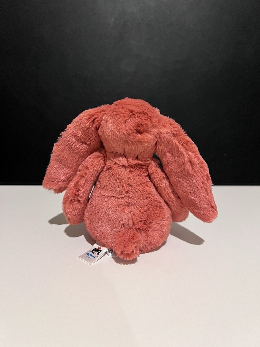 AUTHENTIC‼️ NWT Jellycat SMALL bashful cinnamon Bunny 7