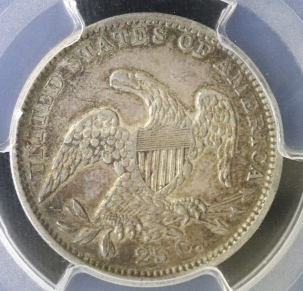 Picture 4 of 4