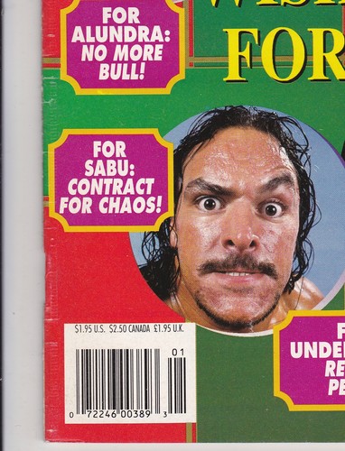 The Wrestler Magazine January 1995 Holiday Wish List Sabu Undertaker WWF ECW - Picture 5 of 10