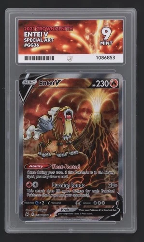 Graded ACE 9   - Entei V - GG36/GG70 - Crown Zenith - Pokemon