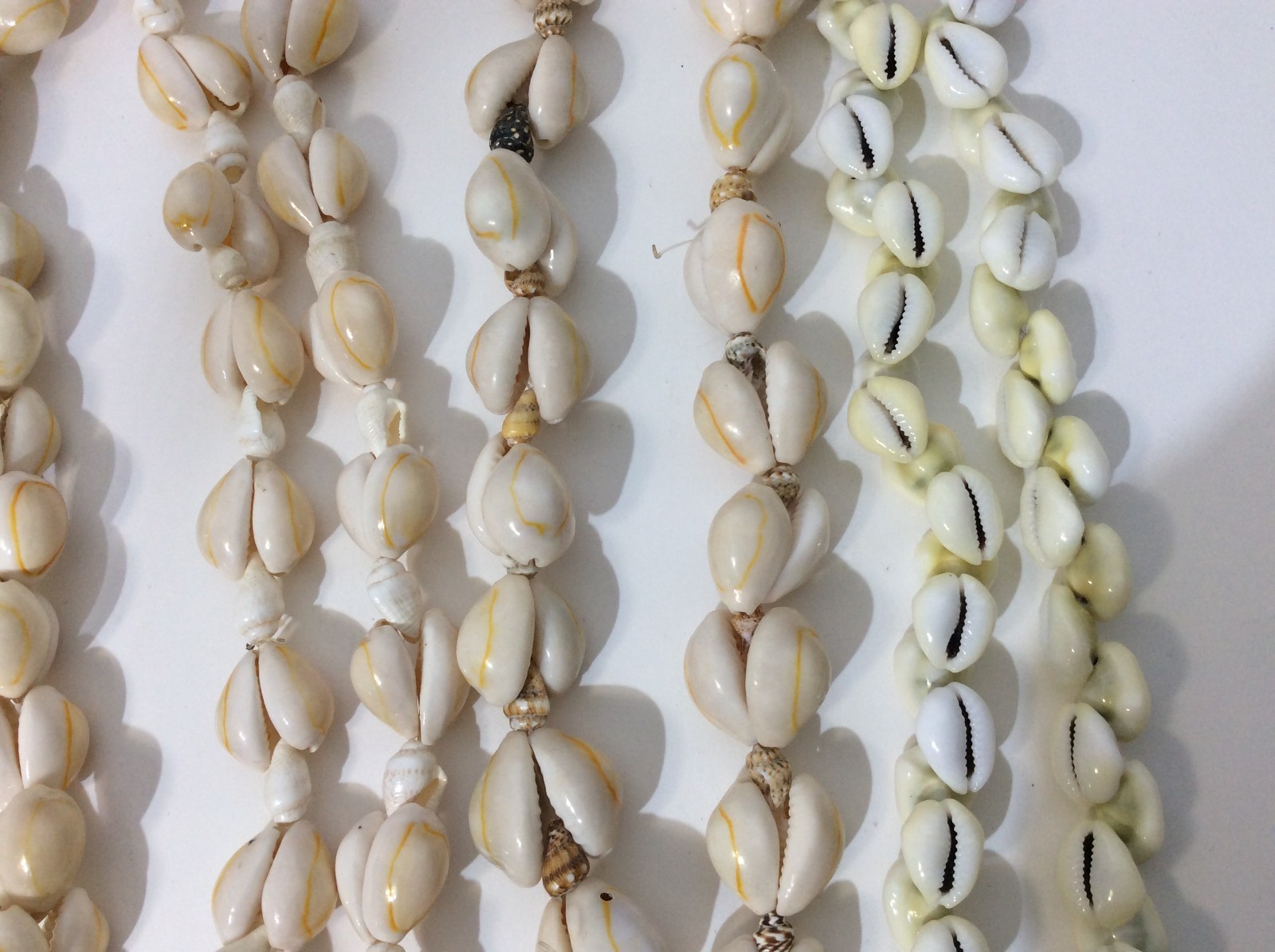 Five Large Seashell Necklaces - image 7
