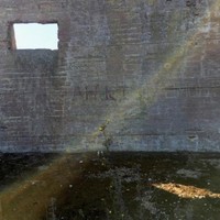 Desperate Journalist In Search Of The Miraculous (Cd) Album
