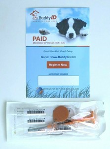 buddy id microchip