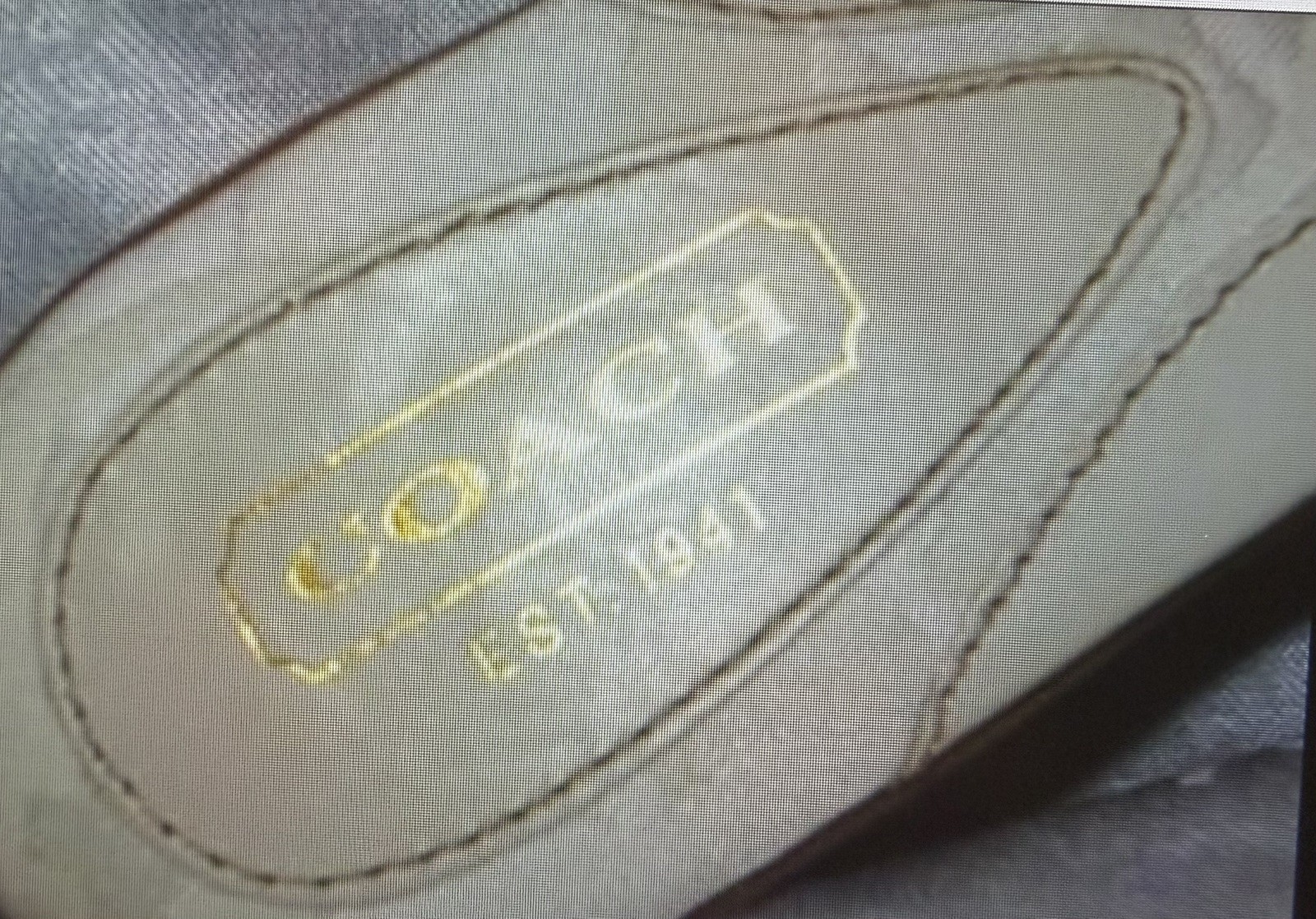 Coach Women’s PATTIE Off-White Ivory CC OPTIC Kiss Lock Slides Sandals Shoes 6.5 thumbnail 9