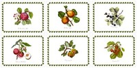 Pimpernel Pomona Placemats - Set Of 6 Pimpernel Pomona Placemats - Set Of 6