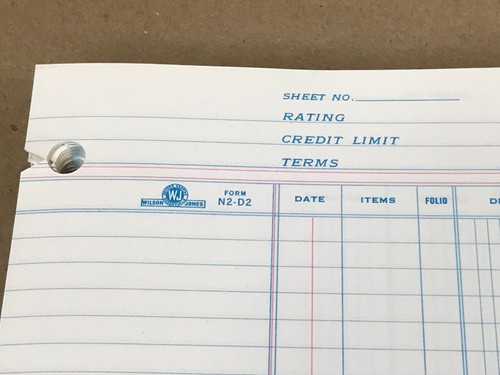 Wilson Jones N2D2 Double Ledger Sheets White New For Post Binders 9 1/4 X 11 7/8 - Picture 2 of 6