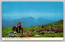 Postcard New Hampshire Mt Washington Mountain Climbing Gulf Side Trail  F154