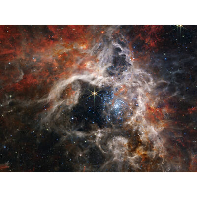 NIRCam Eine kosmische Tarantel 30 Doradus NGC 2070 Großer Leinwanddruck 46x61 cm