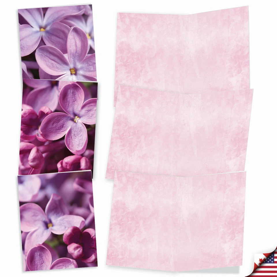 Surtido de 10 tarjetas en blanco para todas las ocasiones - EL COLOR PÚRPURA M6032 Foto 3 de 4