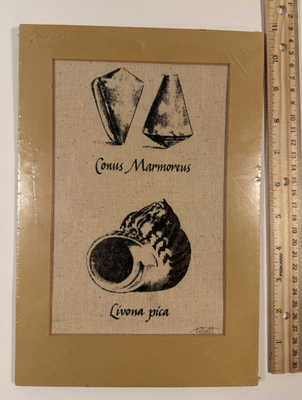 #ad #ad Jim Tillett USVI Seashell Silk Screen Print Canvas Sealed 11x7.5 Matted $42.74
