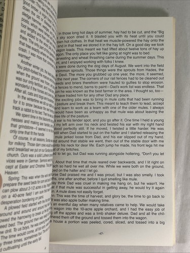 Farm Boy By C.B. Weiss - Picture 19 of 23