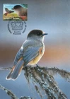 Siberian Jay Perisoreus Infaustus Lapland Nature Finland Mint Maxi FDC Card 2003