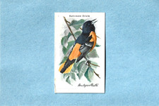 Vint. 1938 Arm & Hammer Useful Birds of America 10th Series #8 BALTIMORE ORIOLE