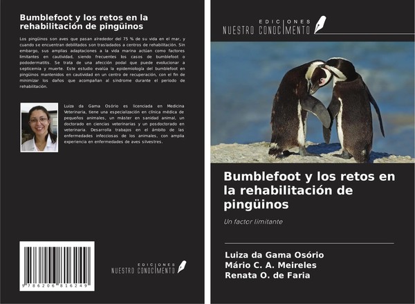 Bumblefoot Y Los Retos En La RehabilitacióN De PingüInos Un Factor Limitante-image