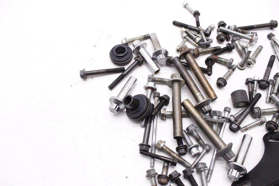 11 pernos de motor Harley-Davidson Fatboy Lo FLSTFB OEM HARDWARE MOTOR R11.BX17 Foto 2 de 4