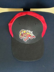 florida fire frogs hat