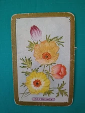 Swap Card, Authentic Vintage 50s Coles Card. PORTULACA