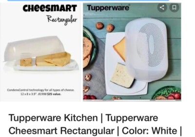 Tupperware CheeSmart Rectangular Cheese Smart Container Keeper White New